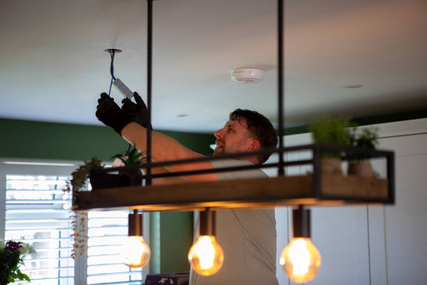 Best Electrical System Inspection  in Steger, IL