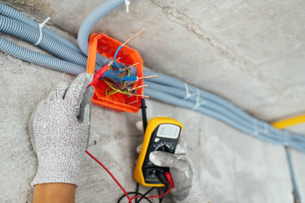 Best Electrician for Home Renovation  in Steger, IL