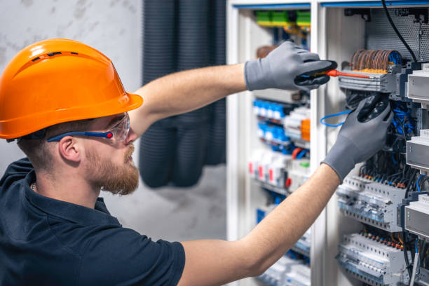 Best Electric Panel Repair  in Steger, IL